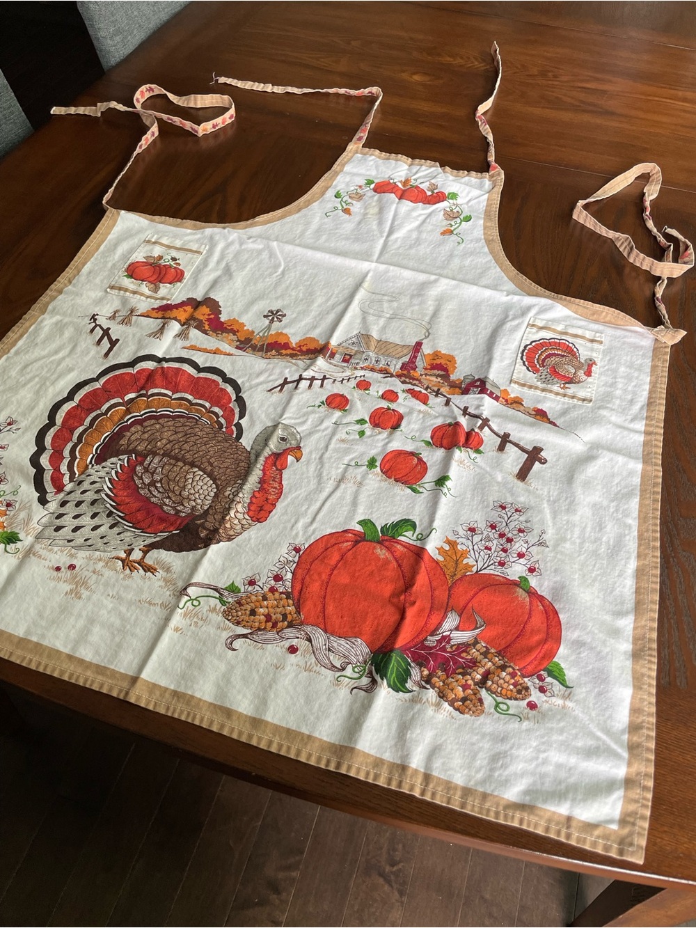 Vintage Thanksgiving Turkey & Pumpkin Kitchen Apron in White and Orange
